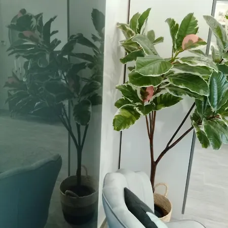 Apartamento In Curti 1913